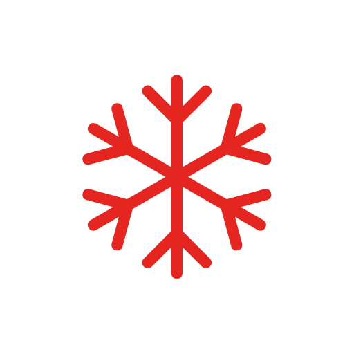 Flocon de neige